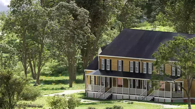 Maxtree Plant Models Vol 150 - Mesh