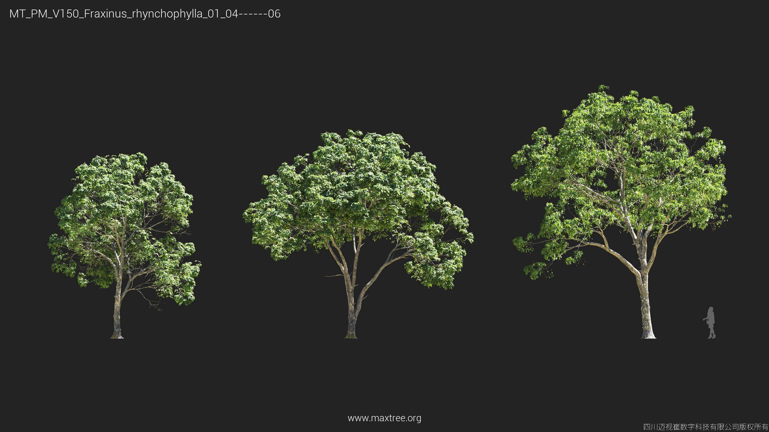 Maxtree Plant Models Vol 150 - Mesh 3D model_10