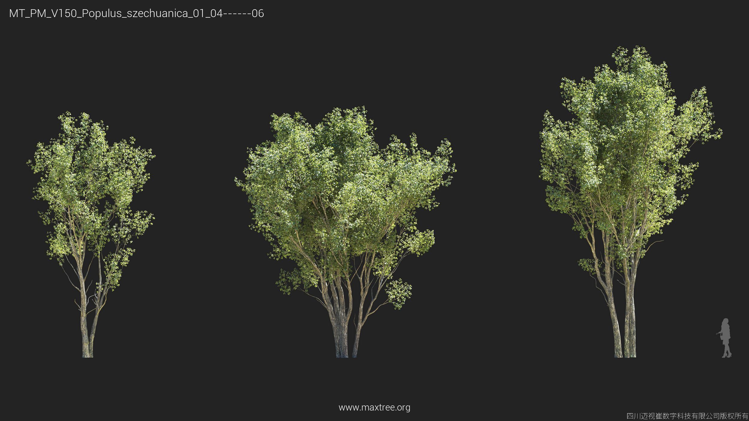 Maxtree Plant Models Vol 150 - Mesh 3D model_16