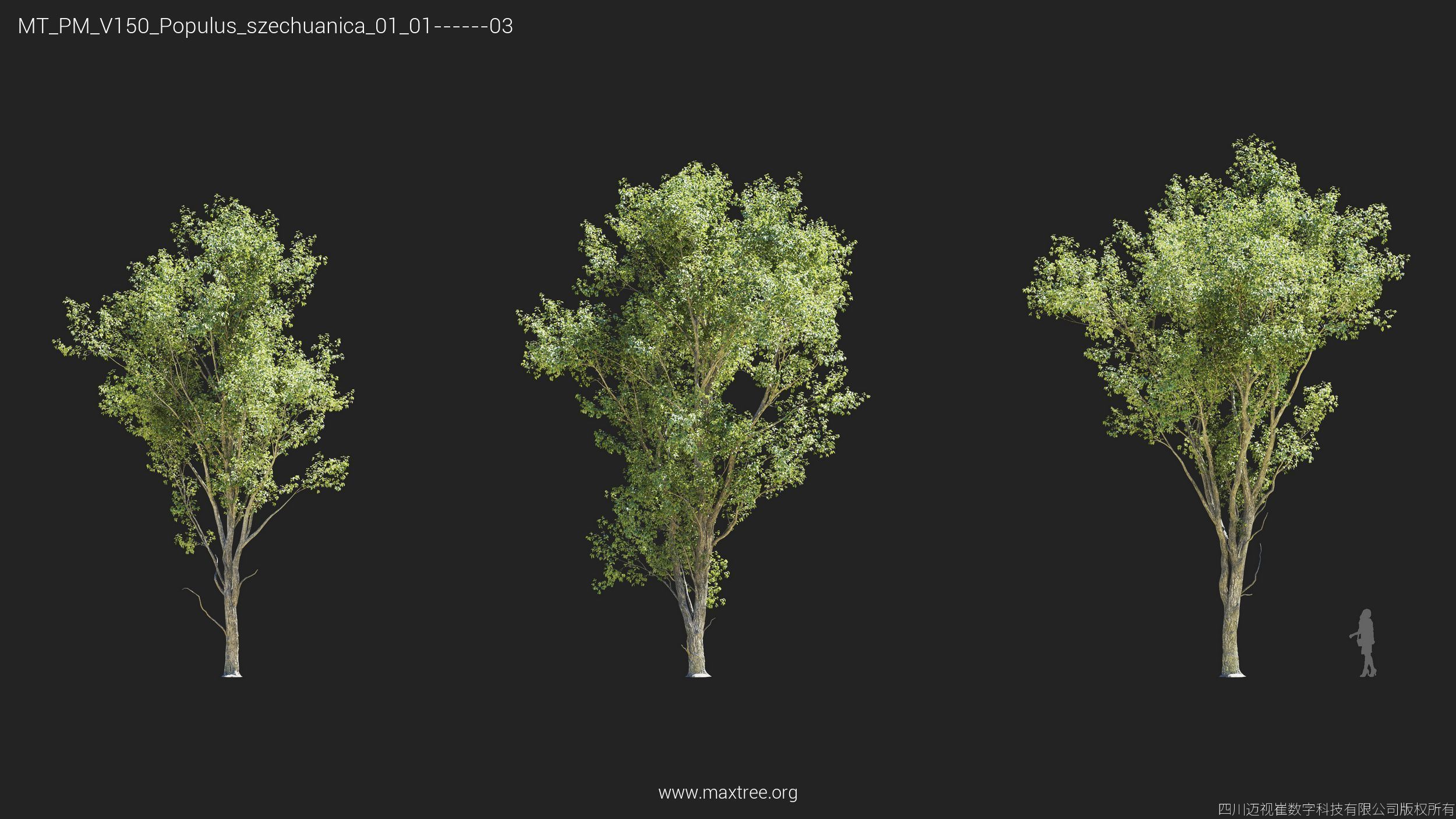Maxtree Plant Models Vol 150 - Mesh 3D model_15