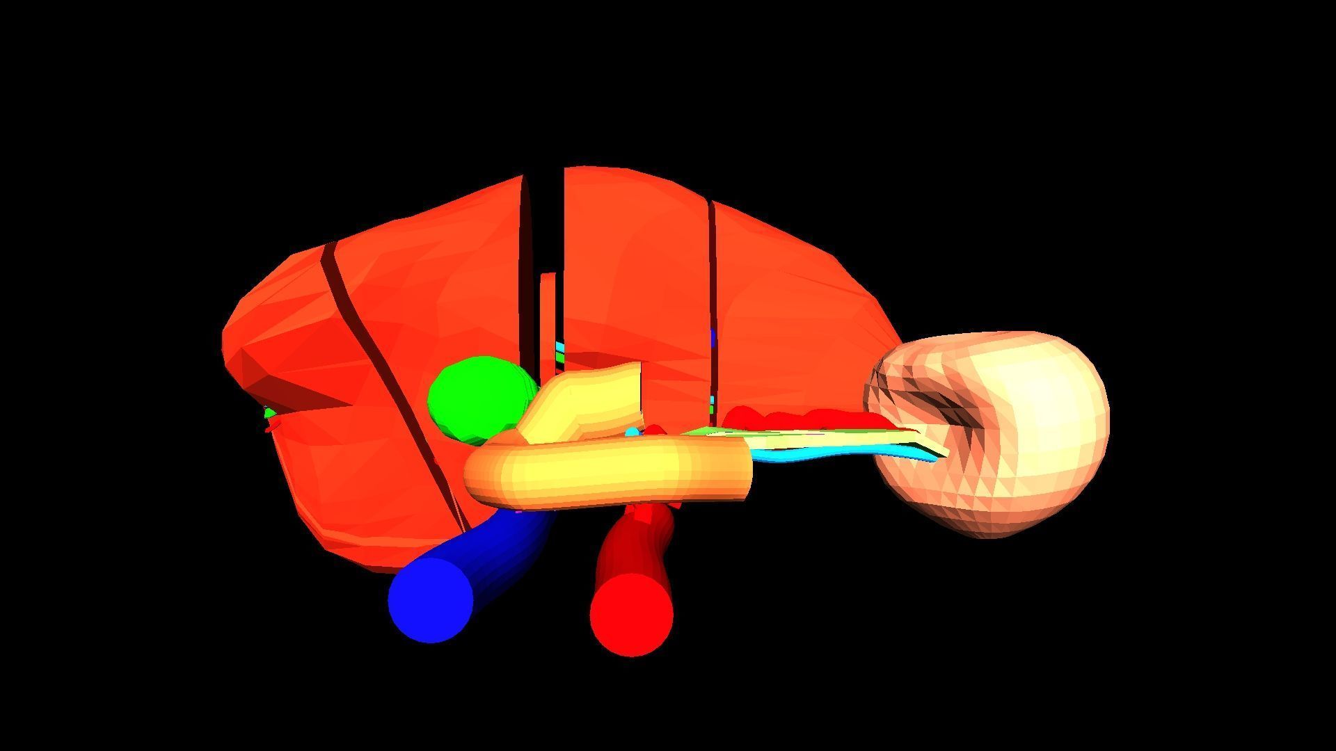 3D Model of Liver Anatomy - with segments 3D model_14