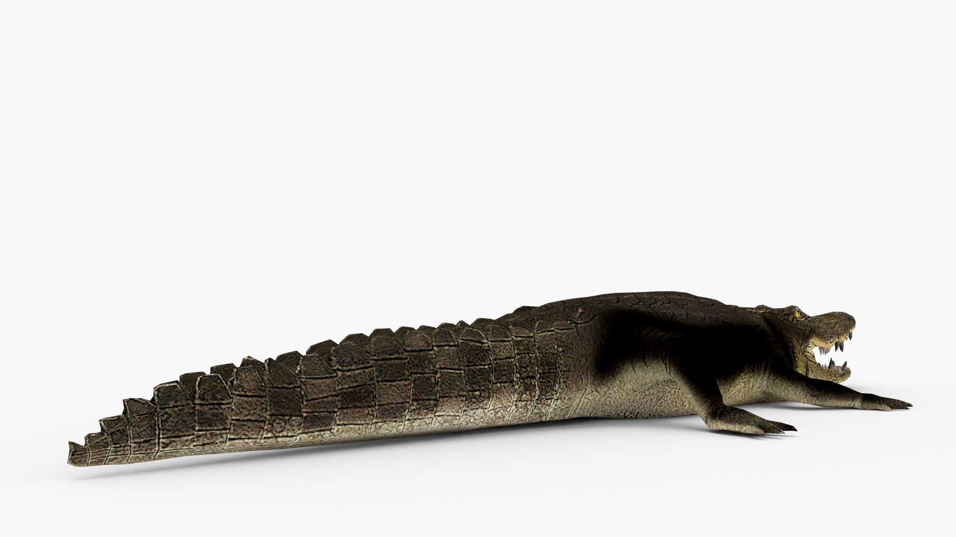 Low Poly Crocodiles Pack 3D Model 3D model_12