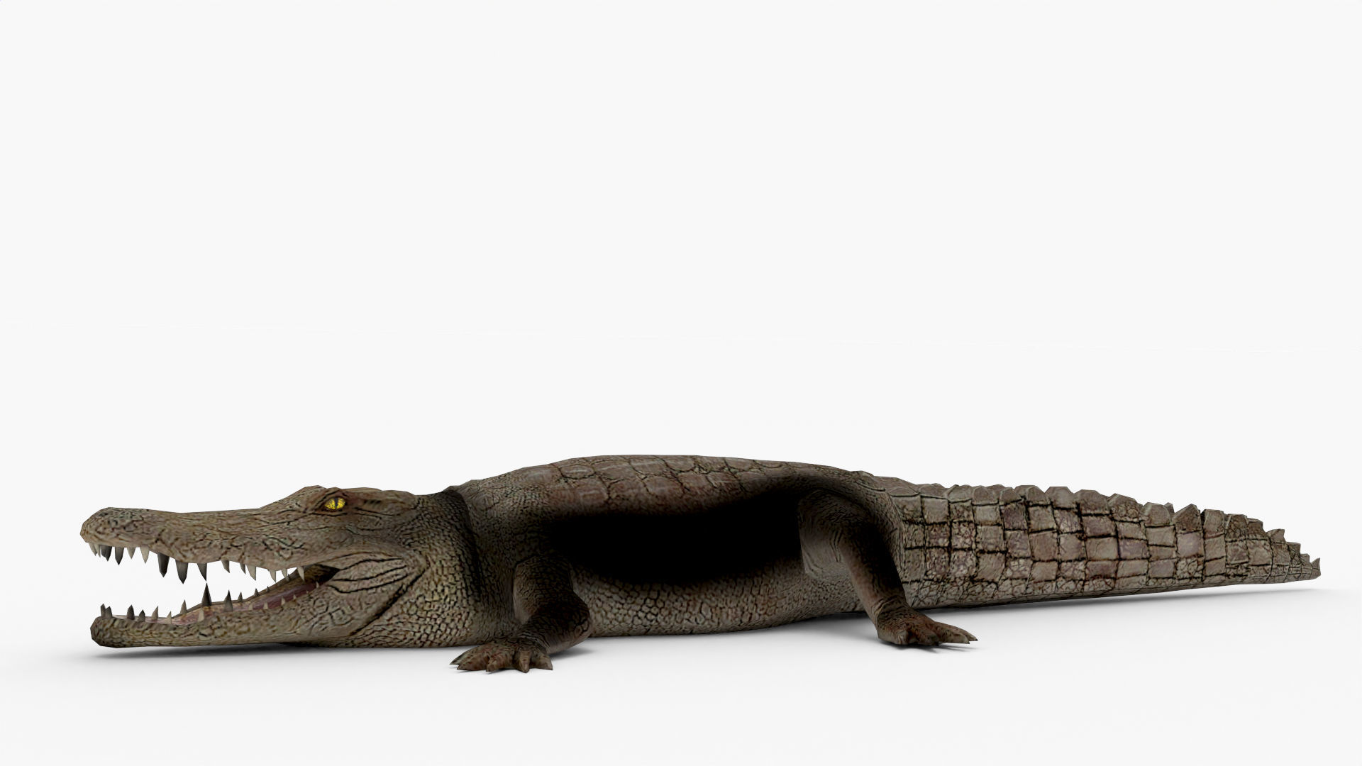 Low Poly Crocodiles Pack 3D Model 3D model_15