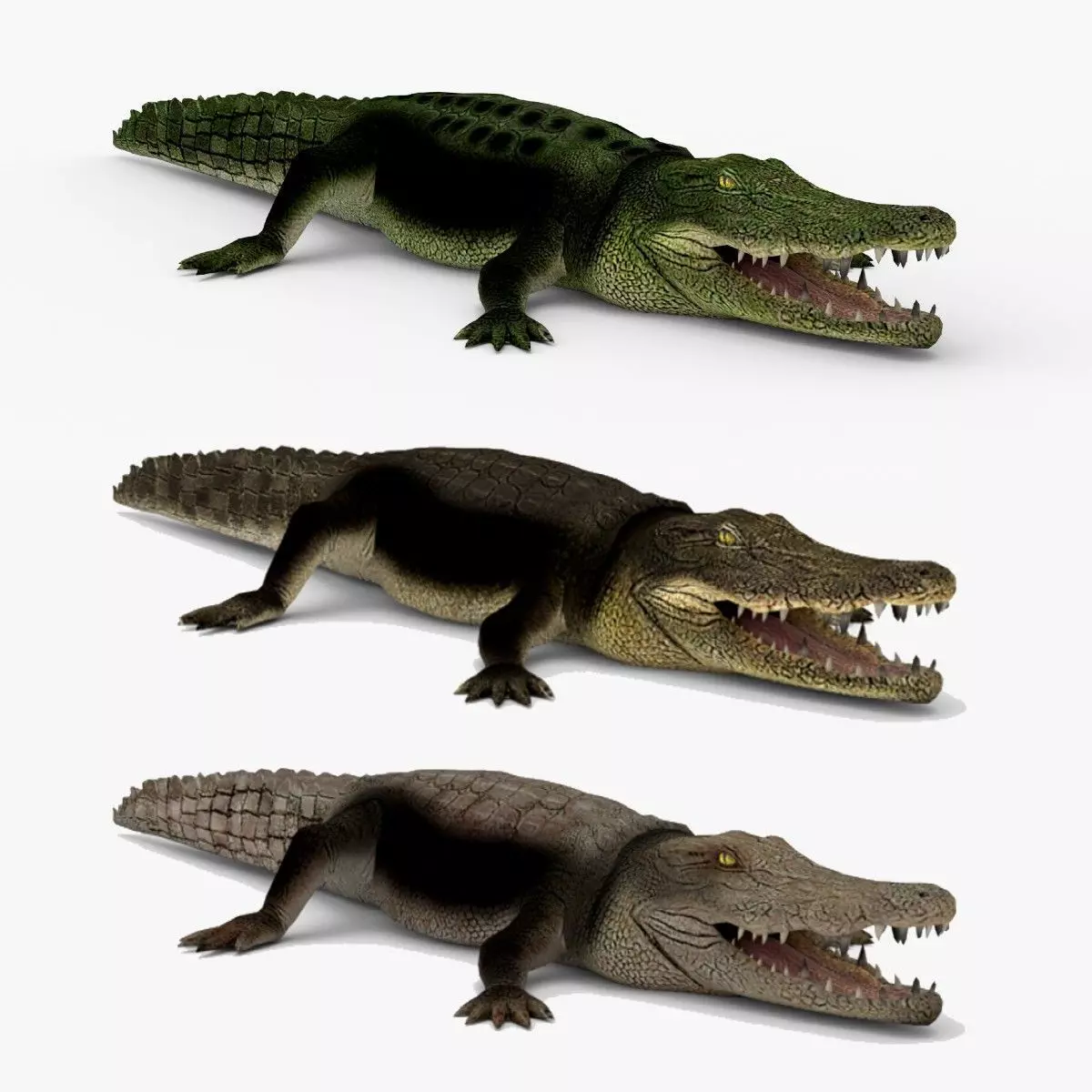 Low Poly Crocodiles Pack 3D Model 3D model_0