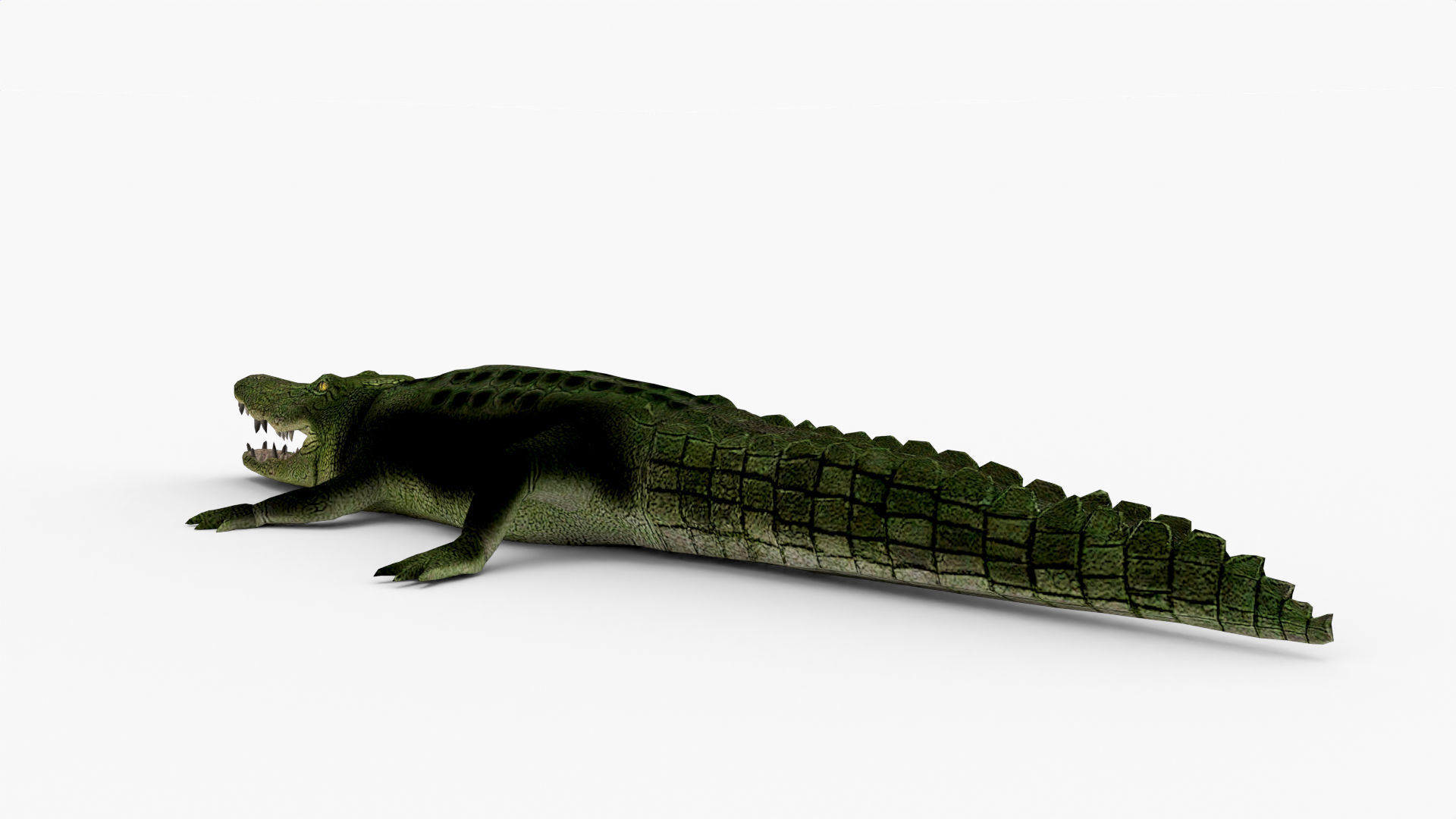 Low Poly Crocodiles Pack 3D Model 3D model_2