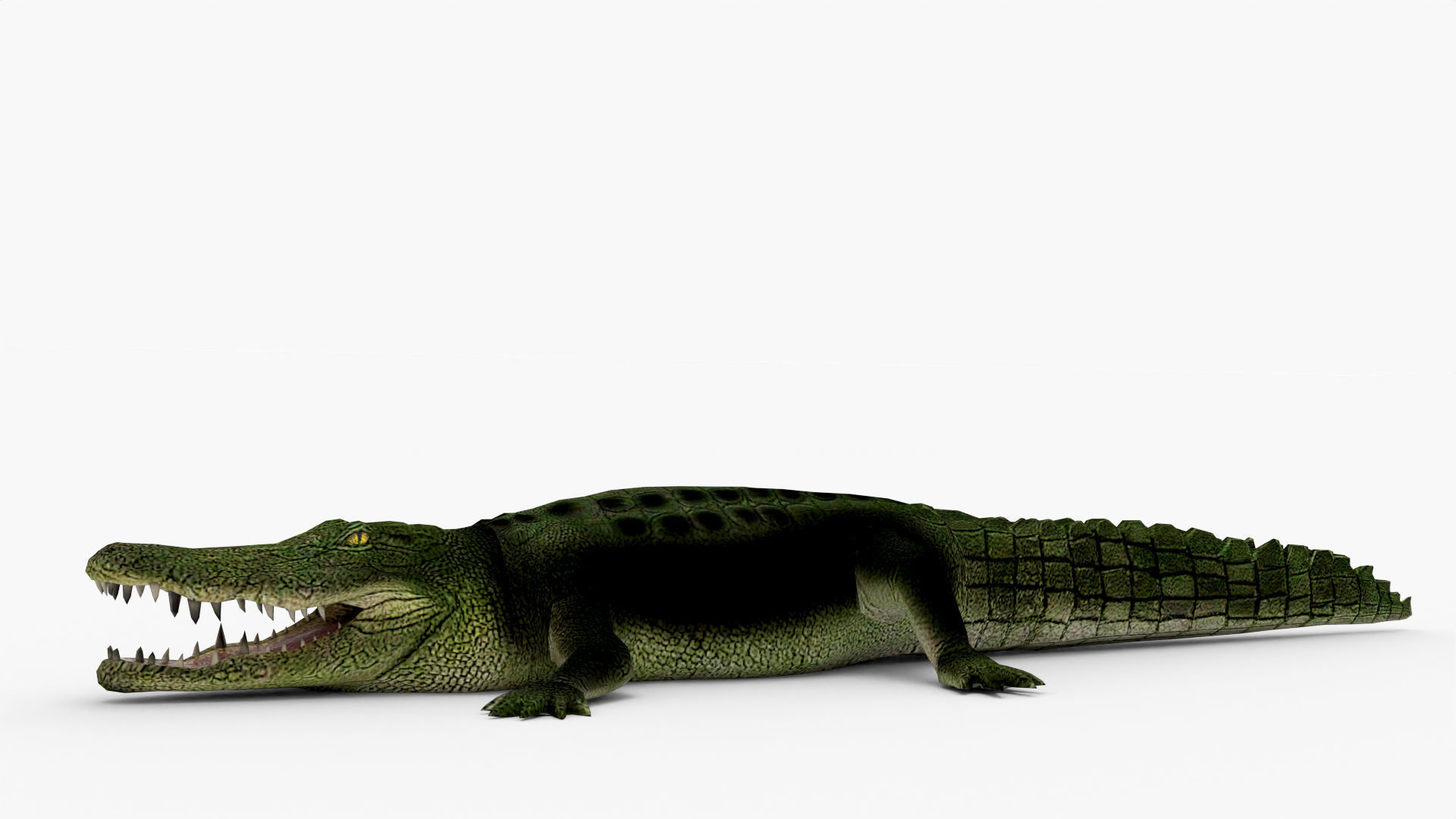 Low Poly Crocodiles Pack 3D Model 3D model_3