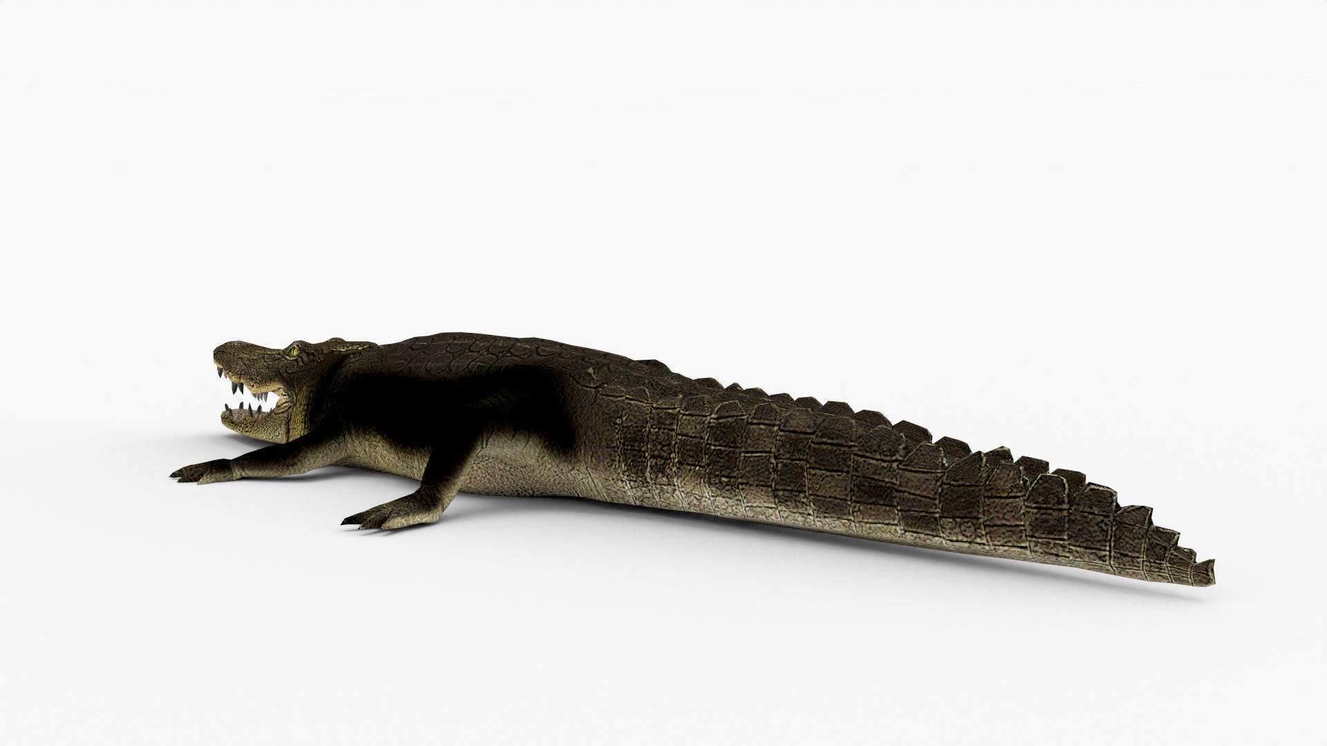 Low Poly Crocodiles Pack 3D Model 3D model_8