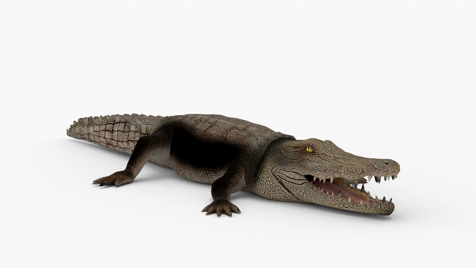 Low Poly Crocodiles Pack 3D Model 3D model_13