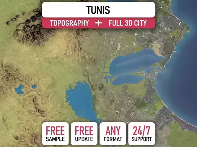 Tunis - 3D City Topography Terrain 3D Model Collection