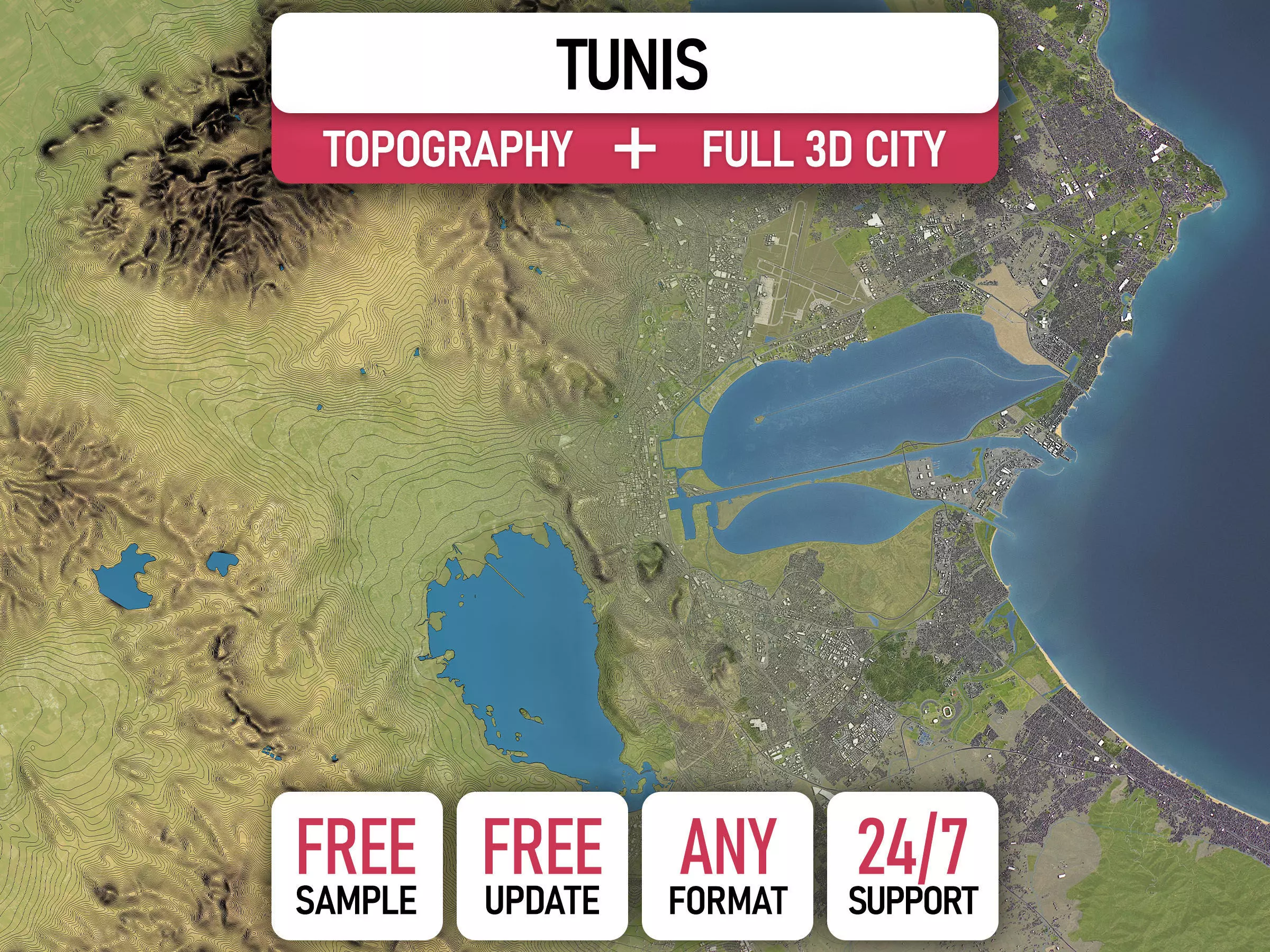 Tunis - 3D City Topography Terrain 3D Model Collection_0