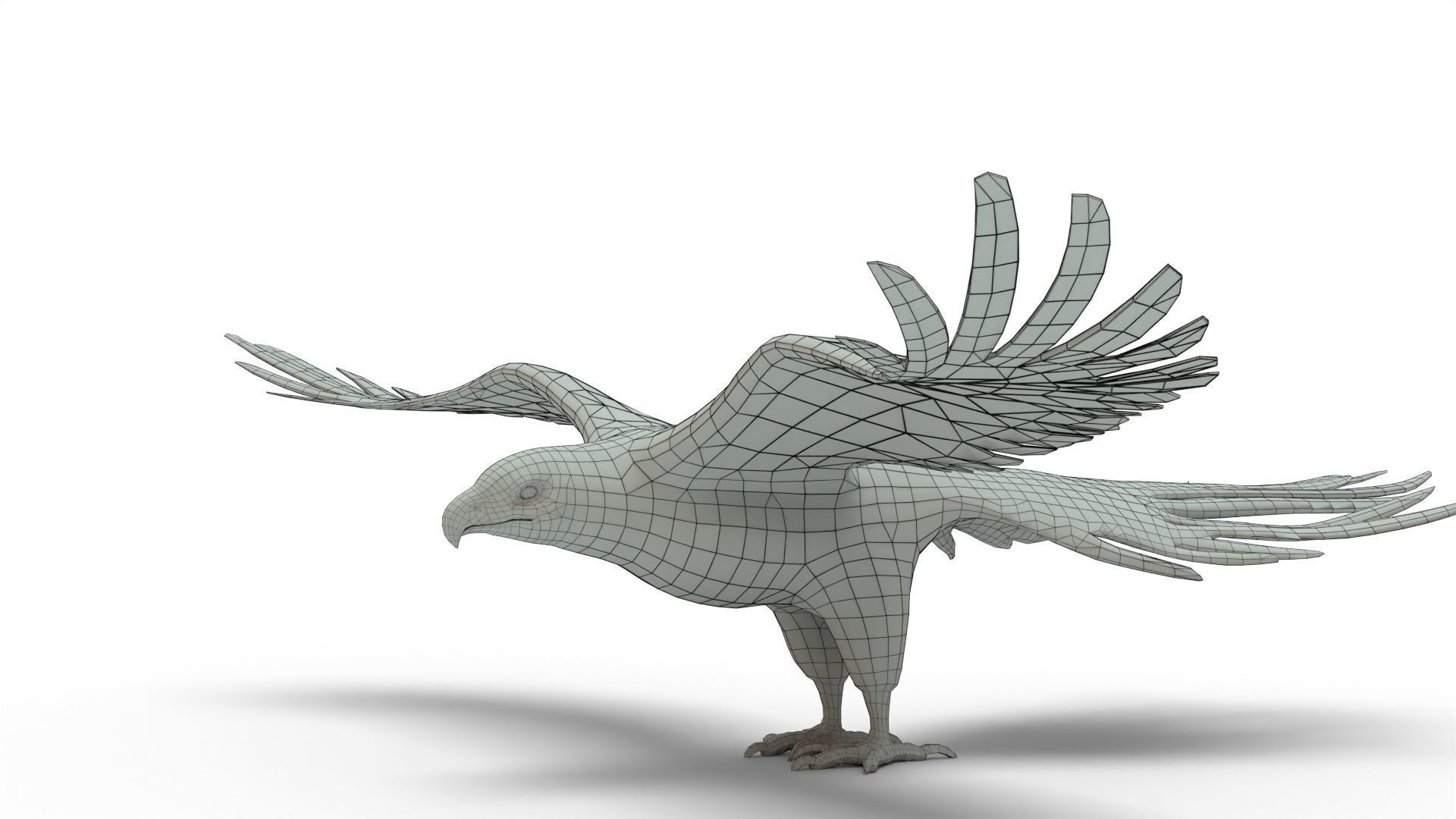 Low Poly 3D Bald Eagle 3D model_9