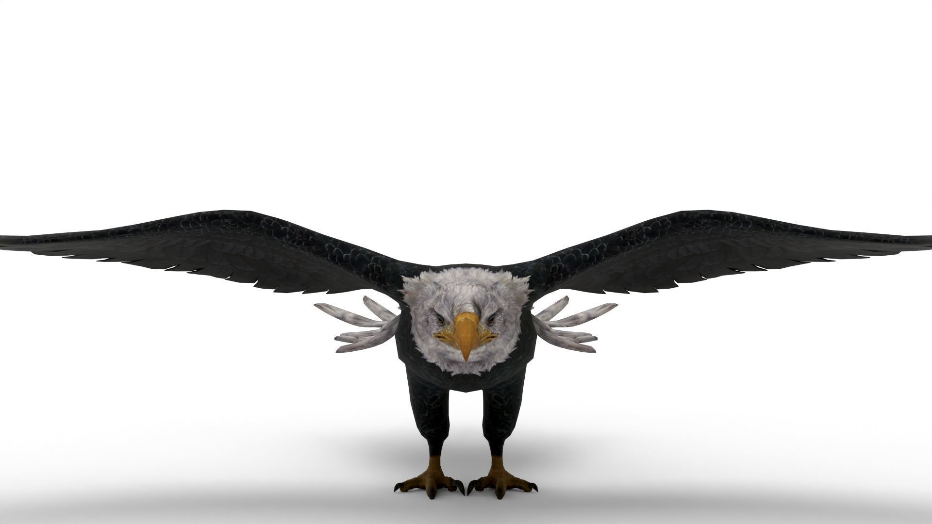 Low Poly 3D Bald Eagle 3D model_2
