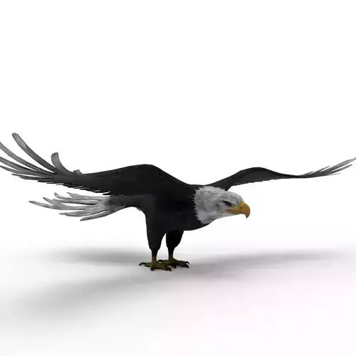 Low Poly 3D Bald Eagle