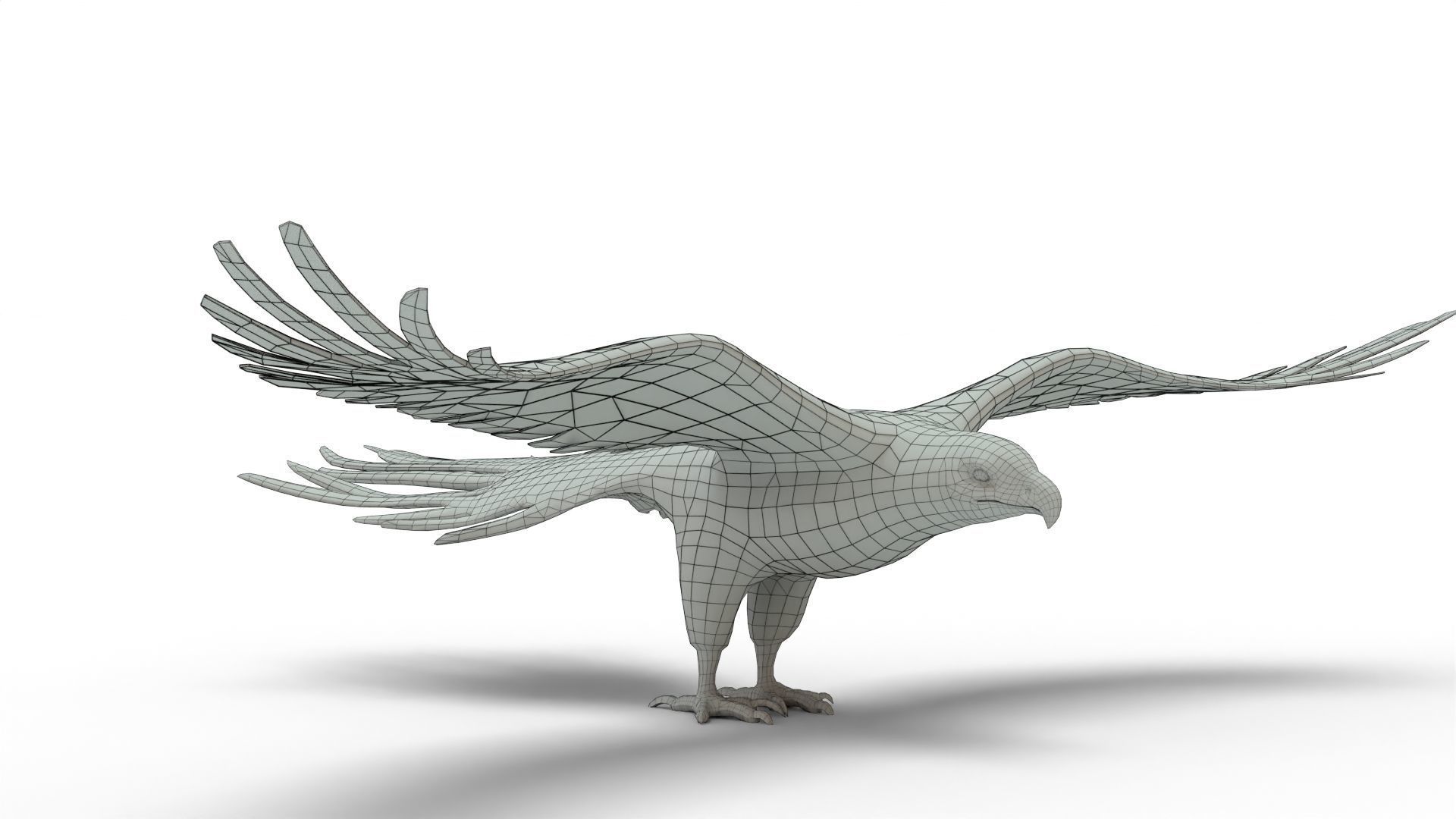 Low Poly 3D Bald Eagle 3D model_7