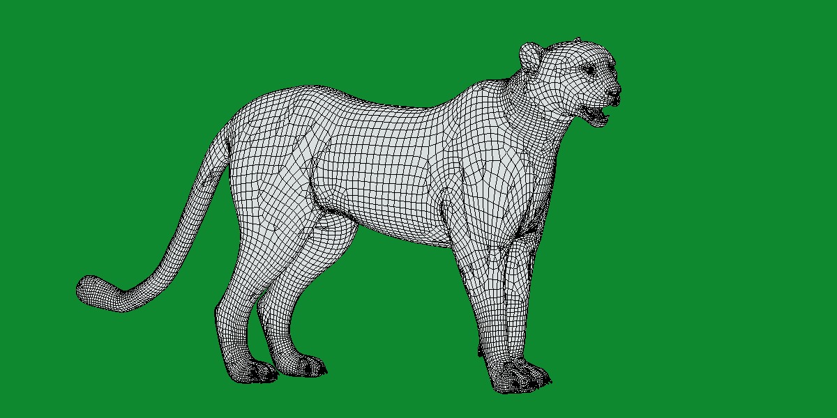 South African Cheetah Low-poly 3D model_22