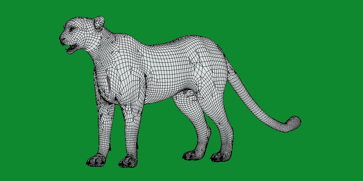 South African Cheetah Low-poly 3D model_23