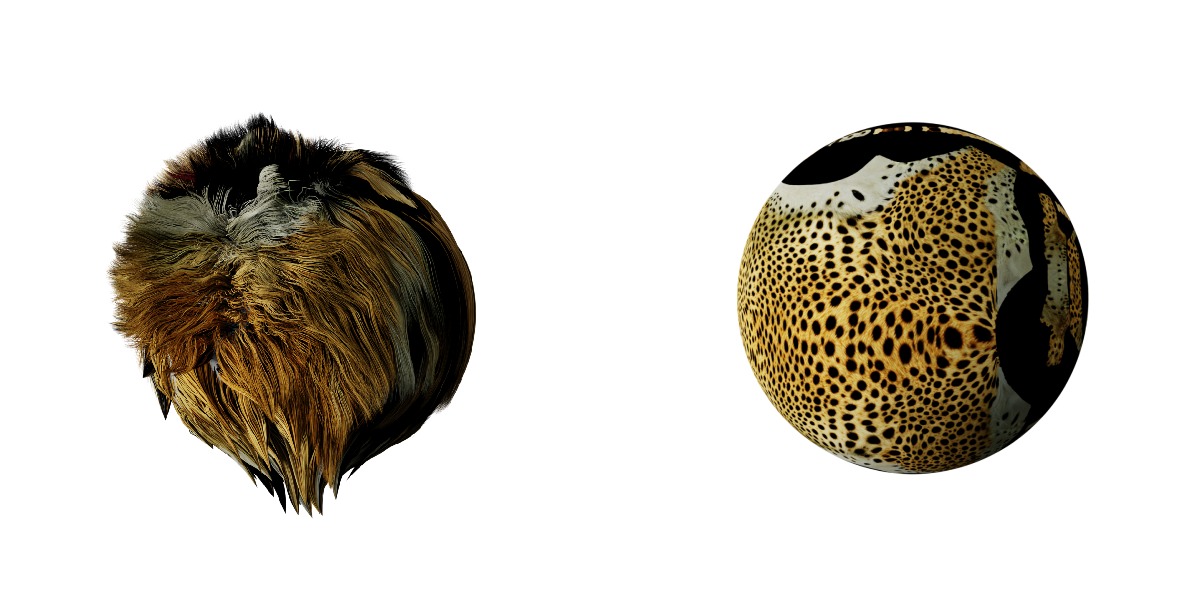 South African Cheetah Low-poly 3D model_32