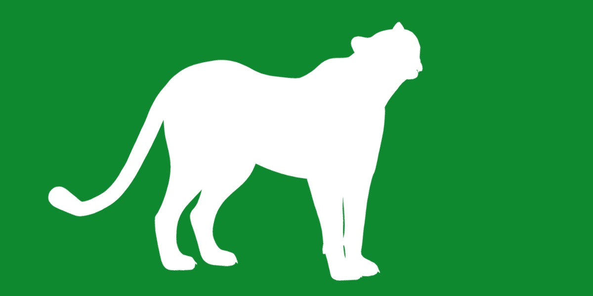 South African Cheetah Low-poly 3D model_13