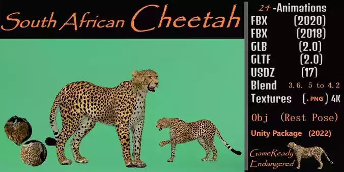 South African Cheetah Low-poly 3D model