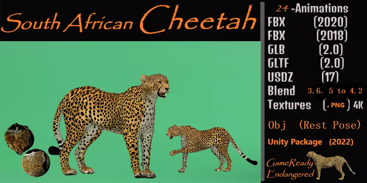 South African Cheetah Low-poly 3D model_0