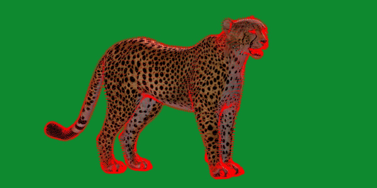 South African Cheetah Low-poly 3D model_24