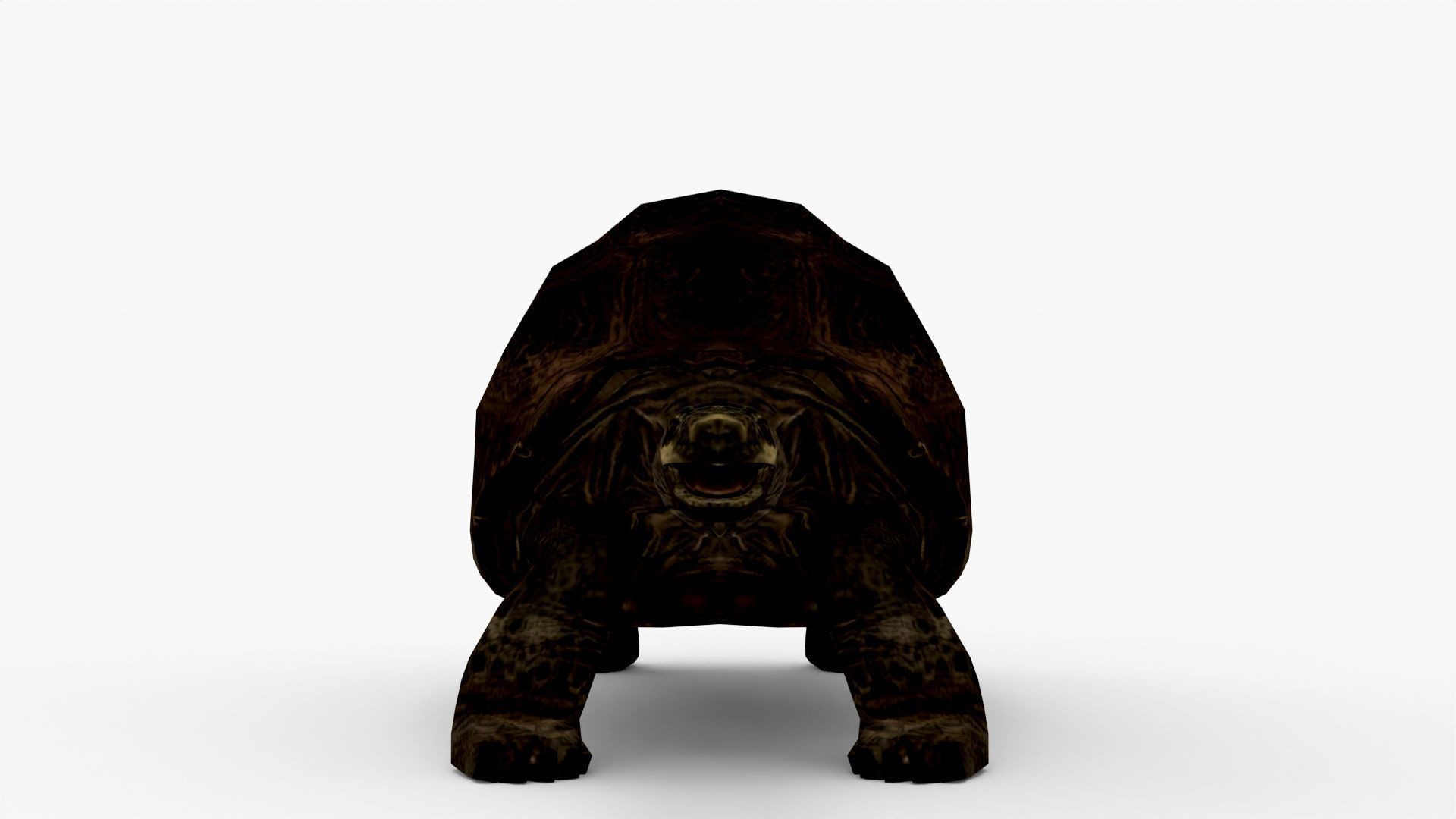 Low Poly Tortoise 3D Model 3D model_4