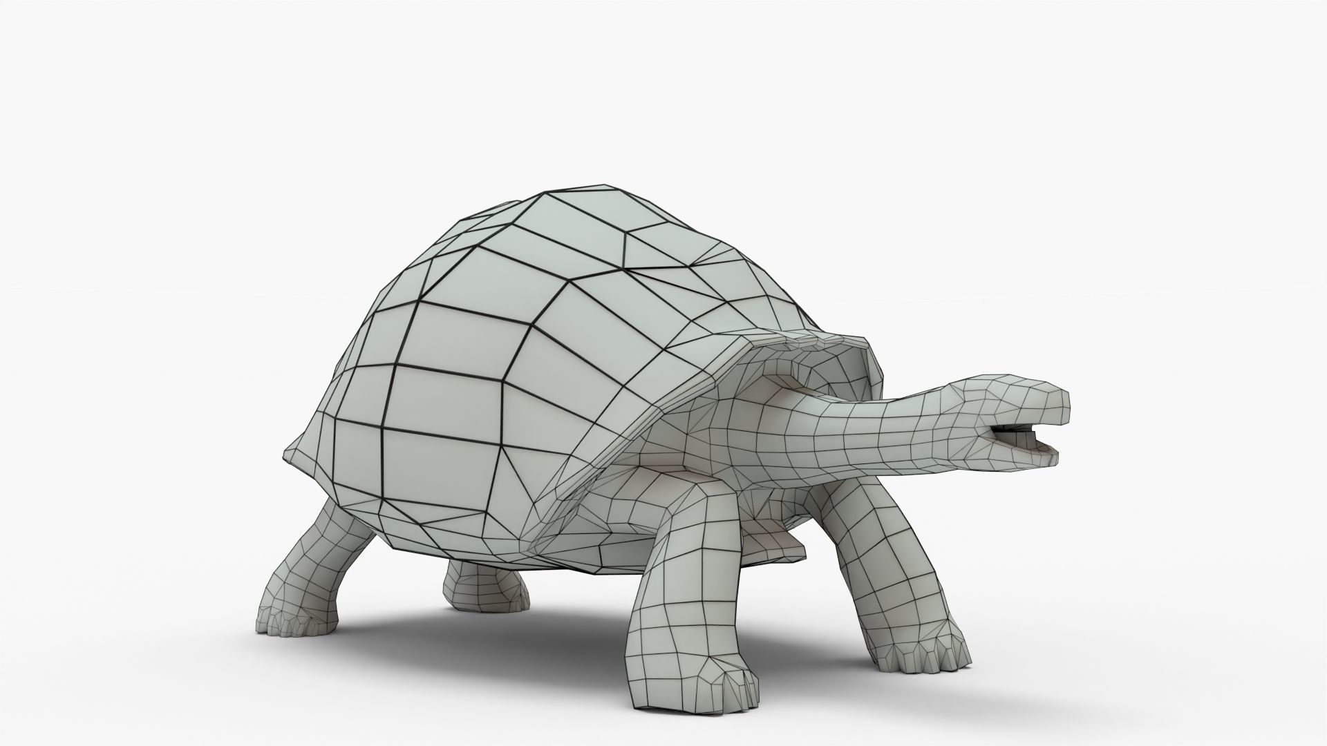 Low Poly Tortoise 3D Model 3D model_7