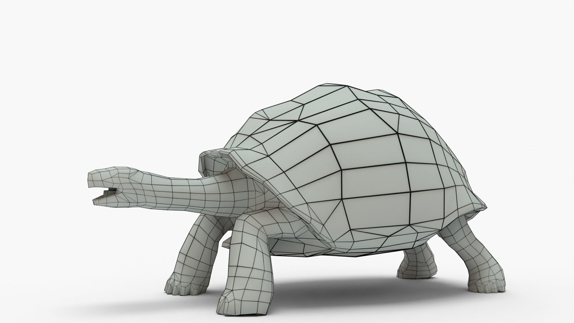 Low Poly Tortoise 3D Model 3D model_9
