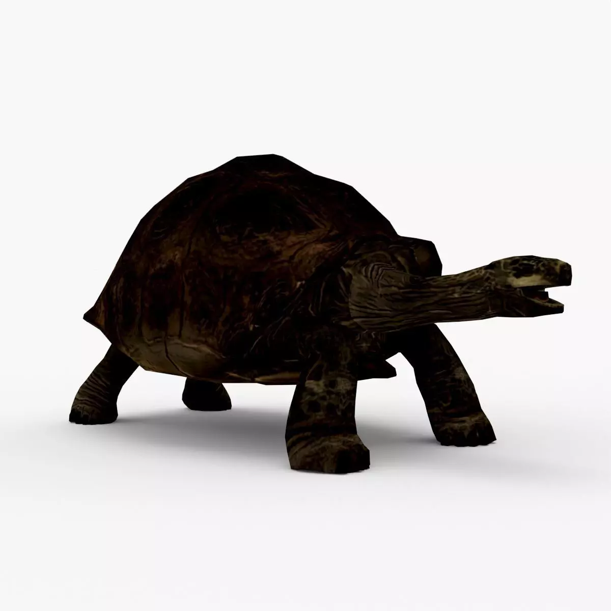 Low Poly Tortoise 3D Model 3D model_0