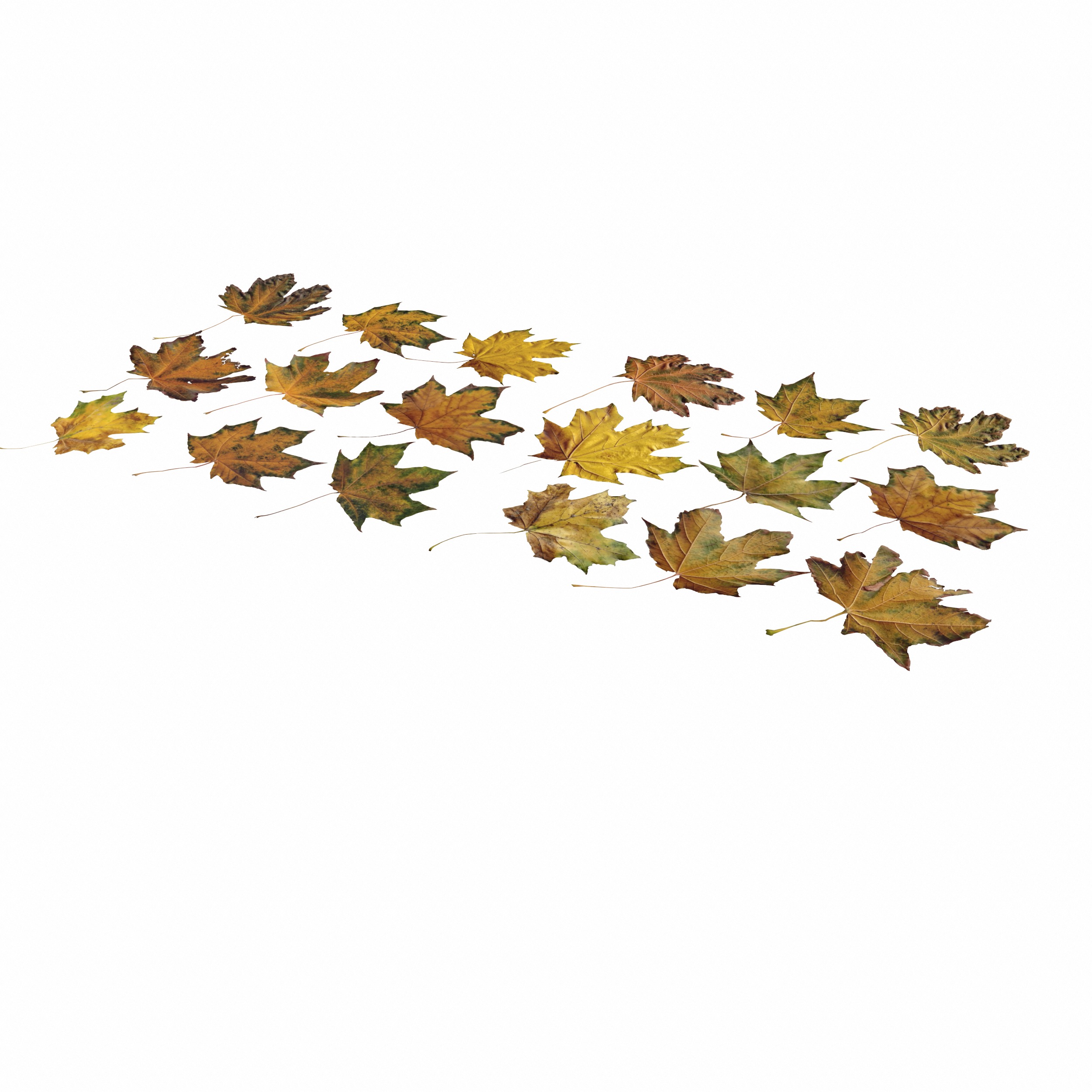 Autumn Fall Maple Tree Leaves Leaf Low-poly 3D model_16