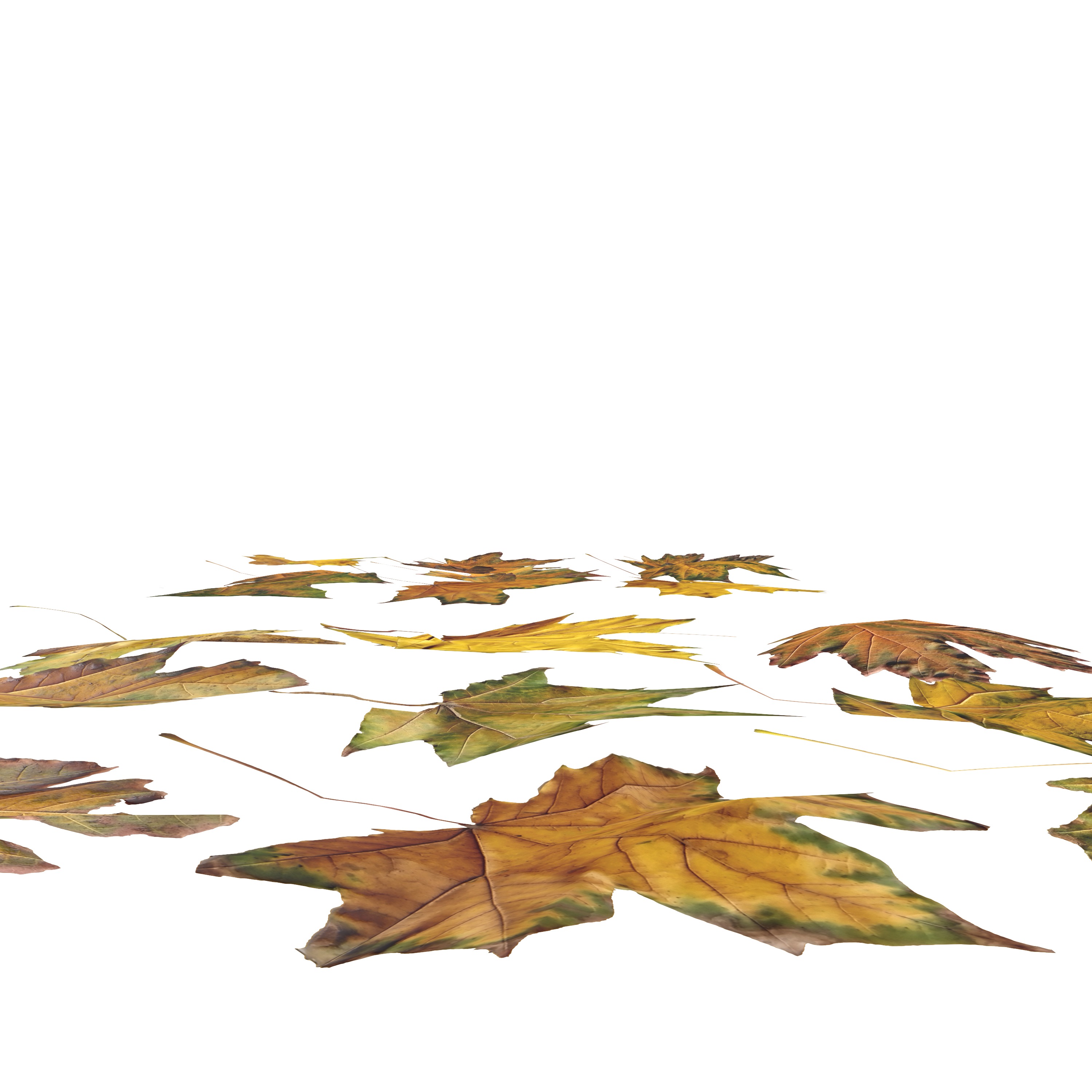 Autumn Fall Maple Tree Leaves Leaf Low-poly 3D model_4