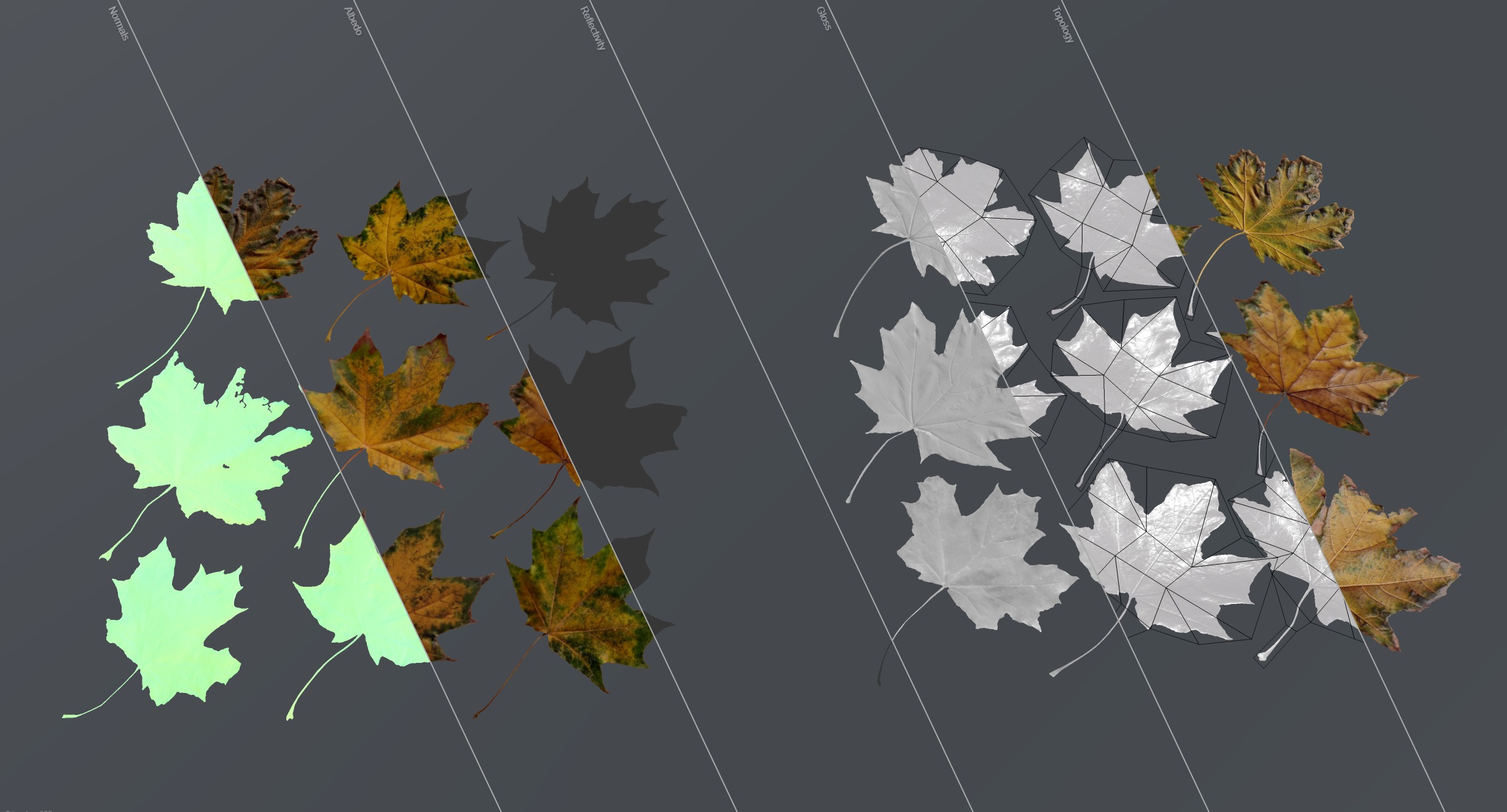 Autumn Fall Maple Tree Leaves Leaf Low-poly 3D model_13