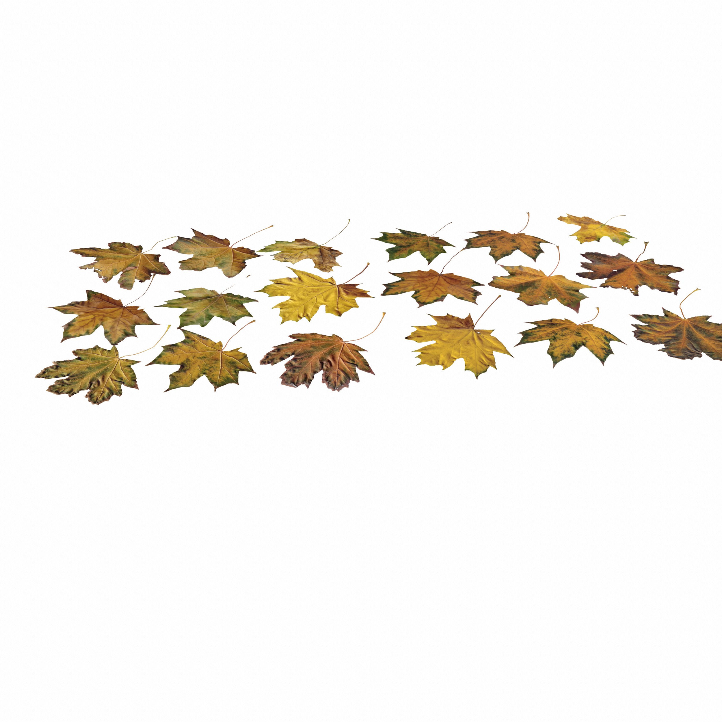 Autumn Fall Maple Tree Leaves Leaf Low-poly 3D model_17