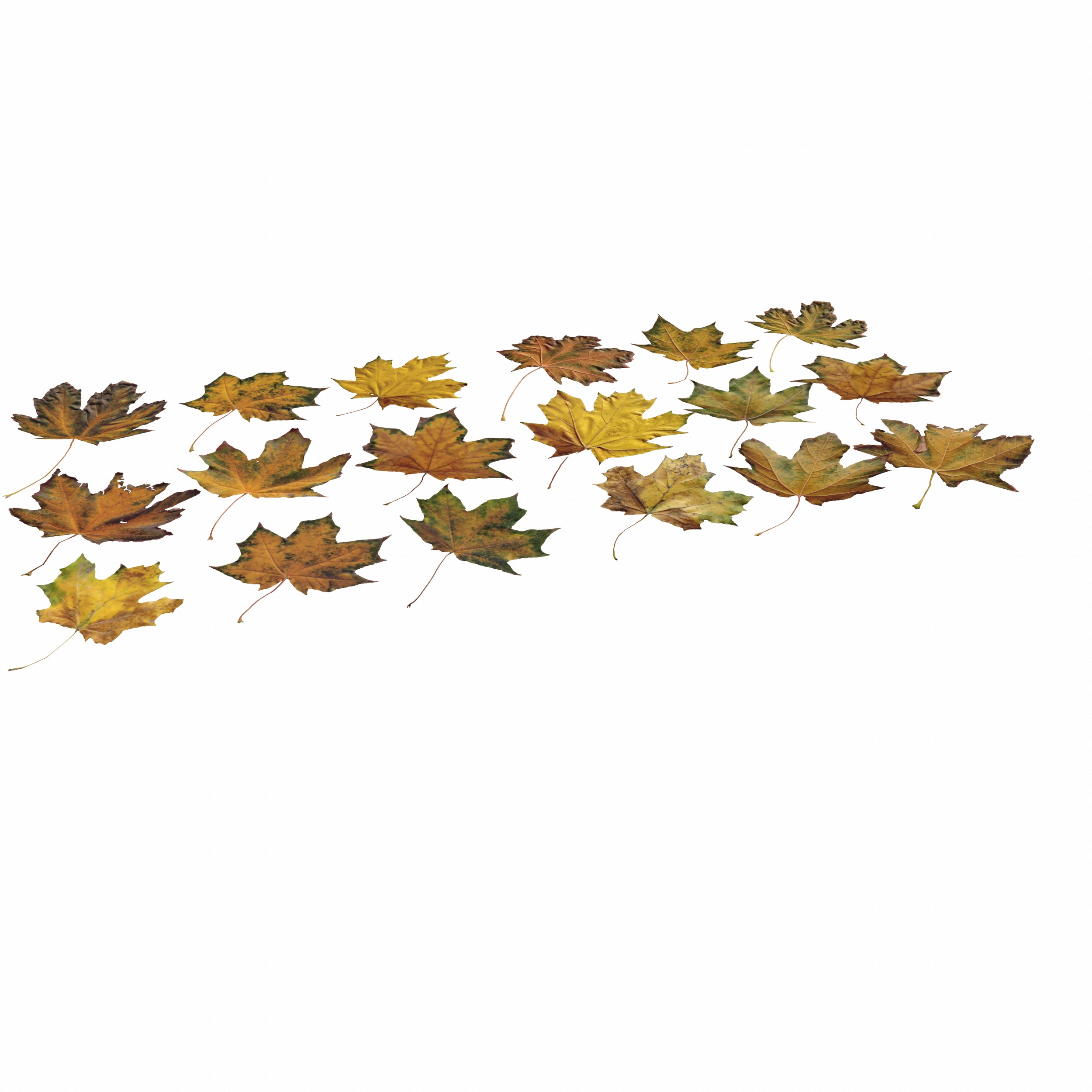 Autumn Fall Maple Tree Leaves Leaf Low-poly 3D model_15