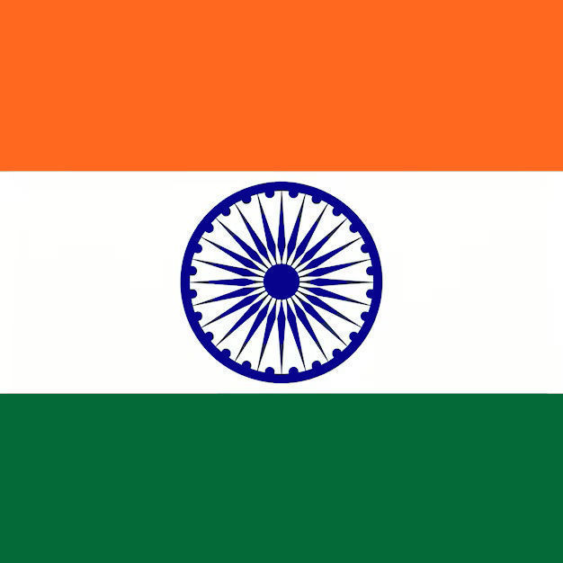 India Flag Medal Badge 3D model_24