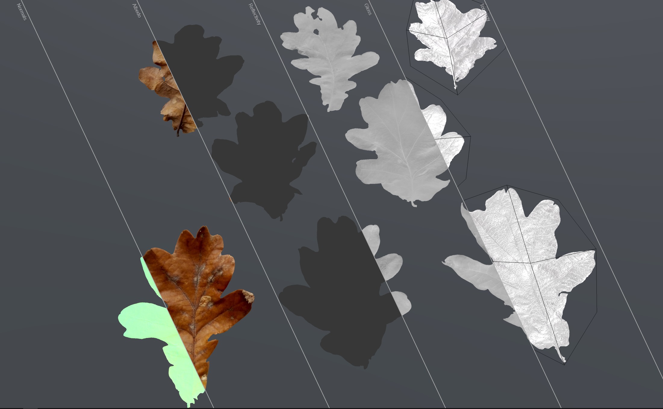 Autumn Fall Dry Oak Leaves Leaf Low-poly 3D model_12