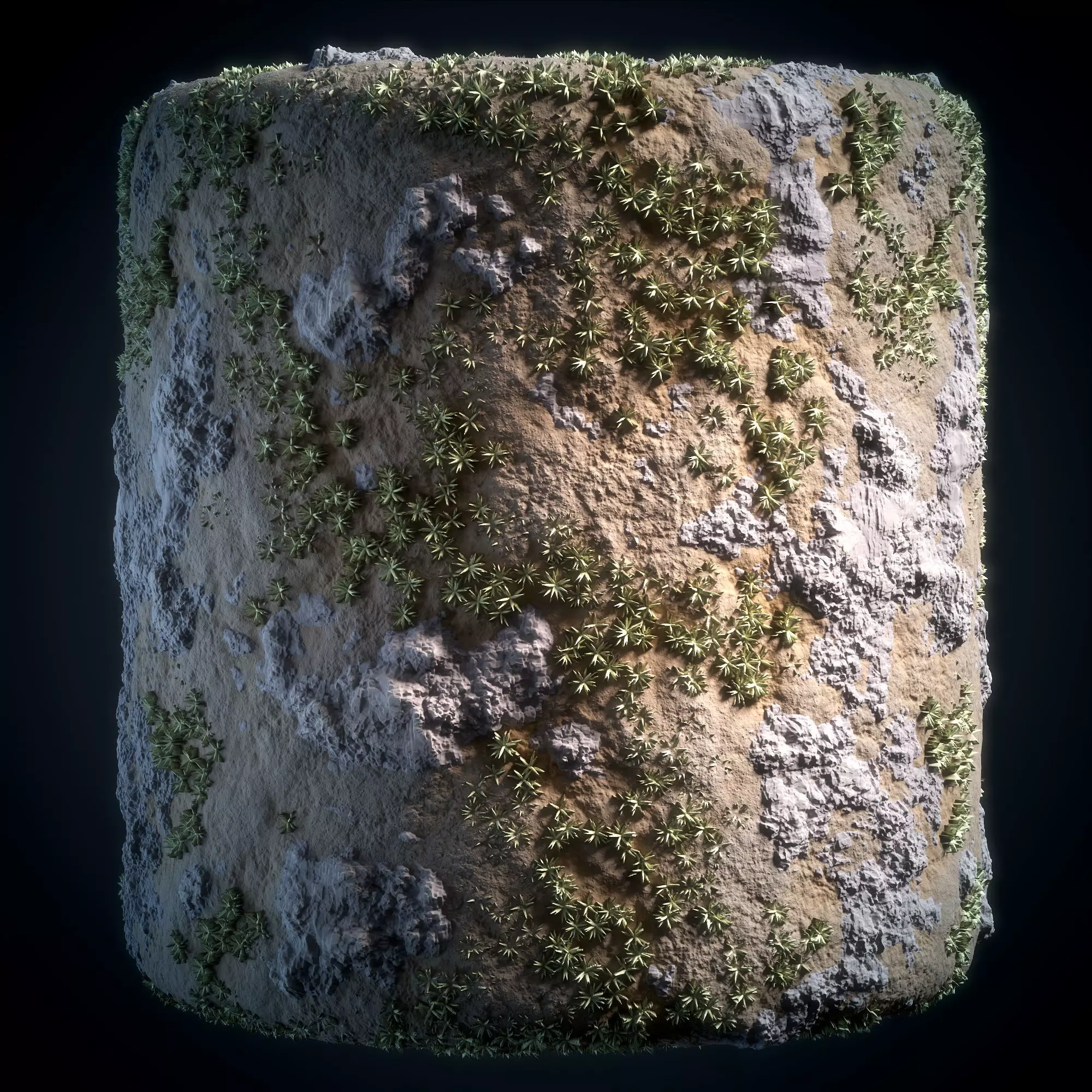 Grass and Ground - Vol 03 - Sbsar - Maps Texture_0