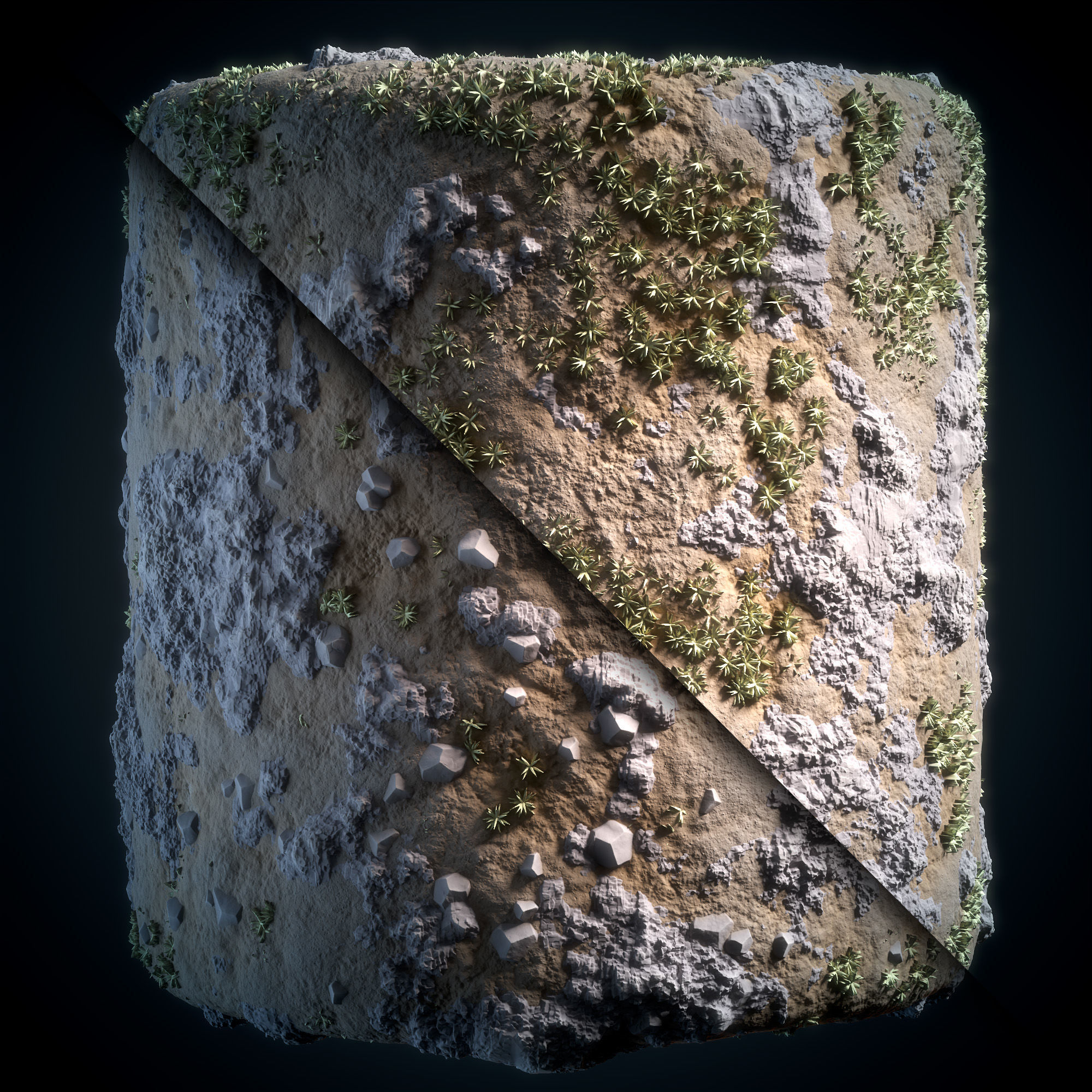 Grass and Ground - Vol 03 - Sbsar - Maps Texture_9