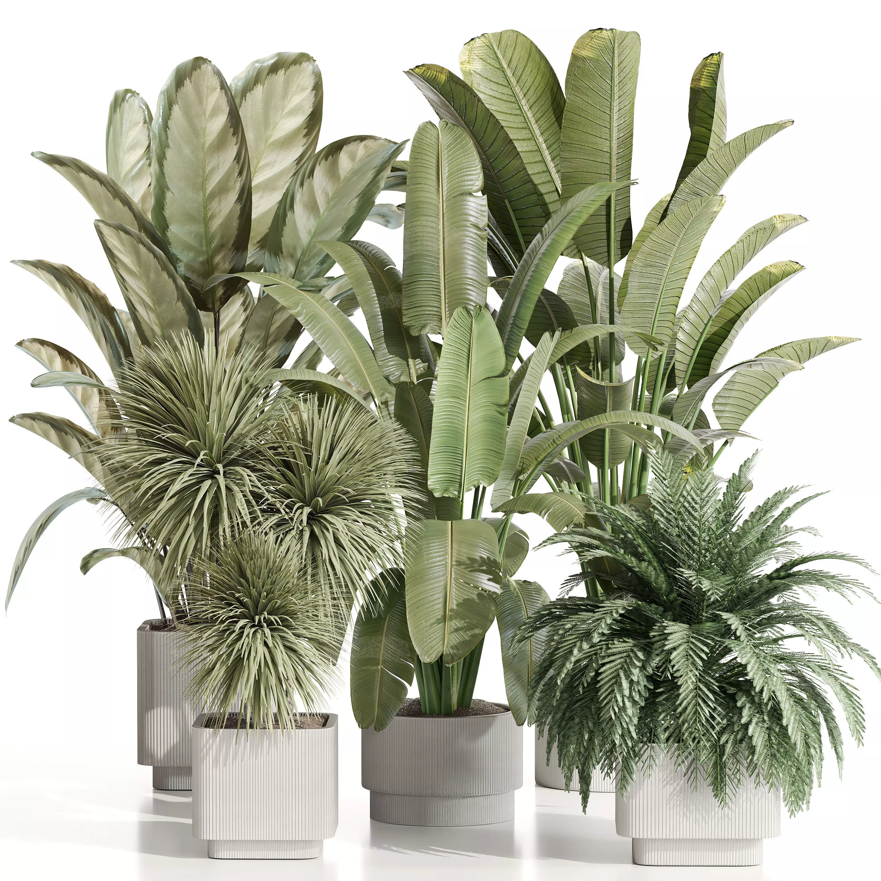 indoor plant Set 125 Low-poly 3D model_0