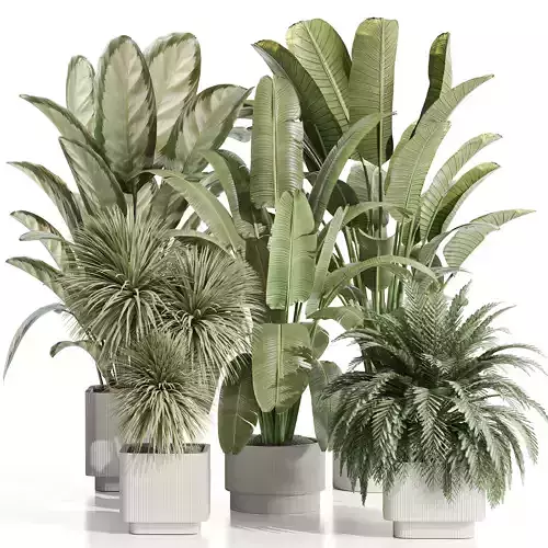 indoor plant Set 125 Low-poly 3D model