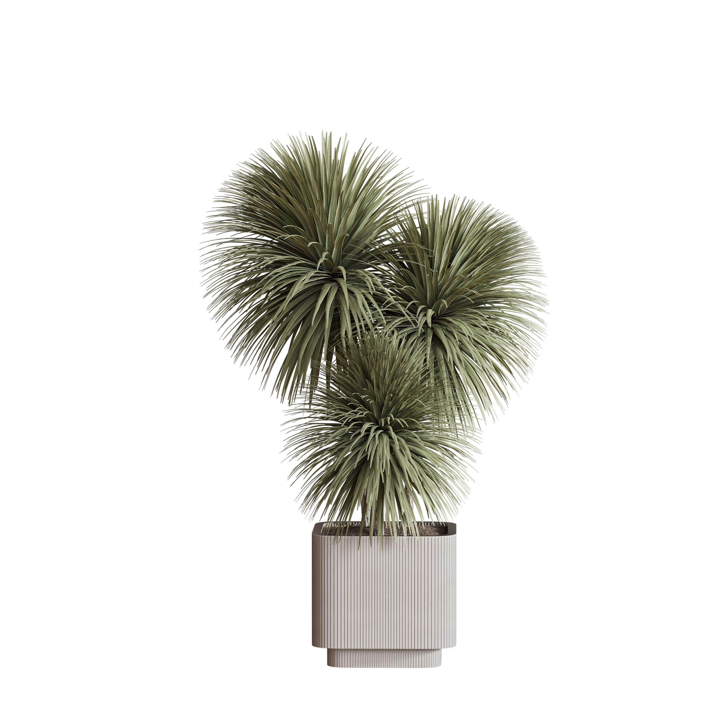 indoor plant Set 125 Low-poly 3D model_4