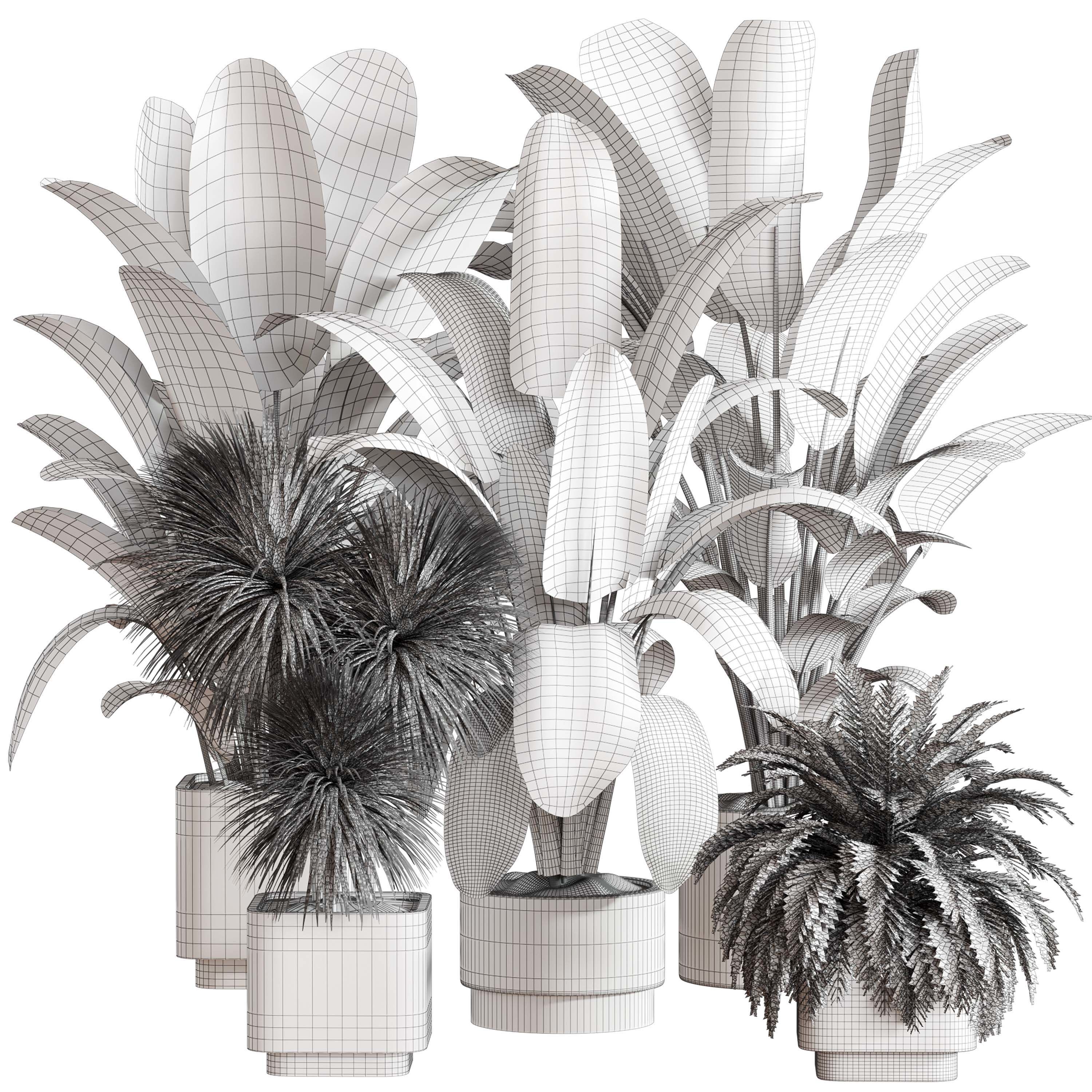 indoor plant Set 125 Low-poly 3D model_1