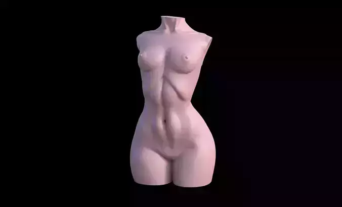 Female Torso