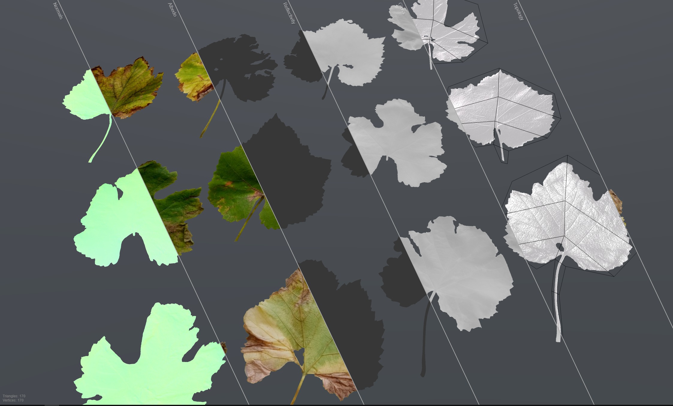 Fall Autumn Grape Leaves Leaf Low-poly 3D model_11