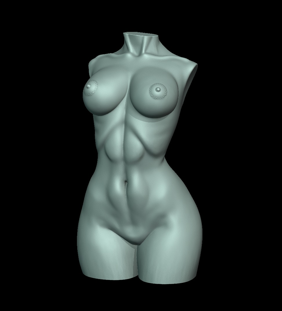 Woman Body Torso 3D print model_1