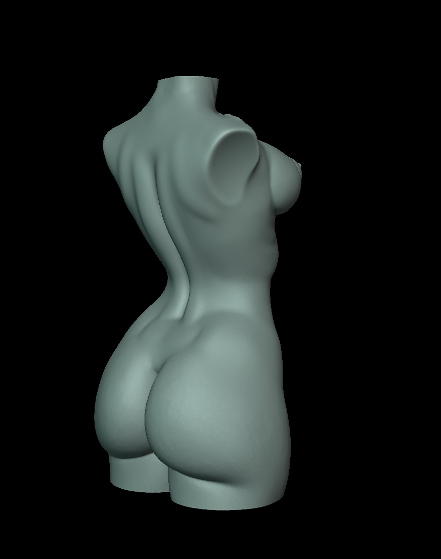 Woman Body Torso 3D print model_5