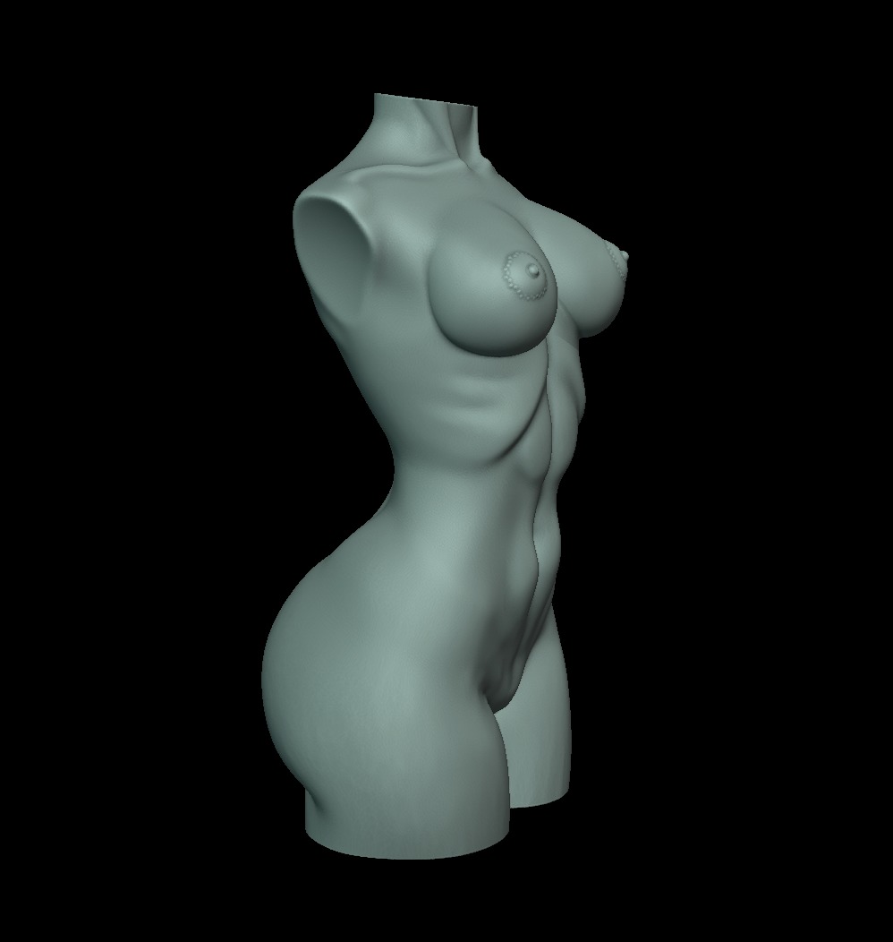 Woman Body Torso 3D print model_4