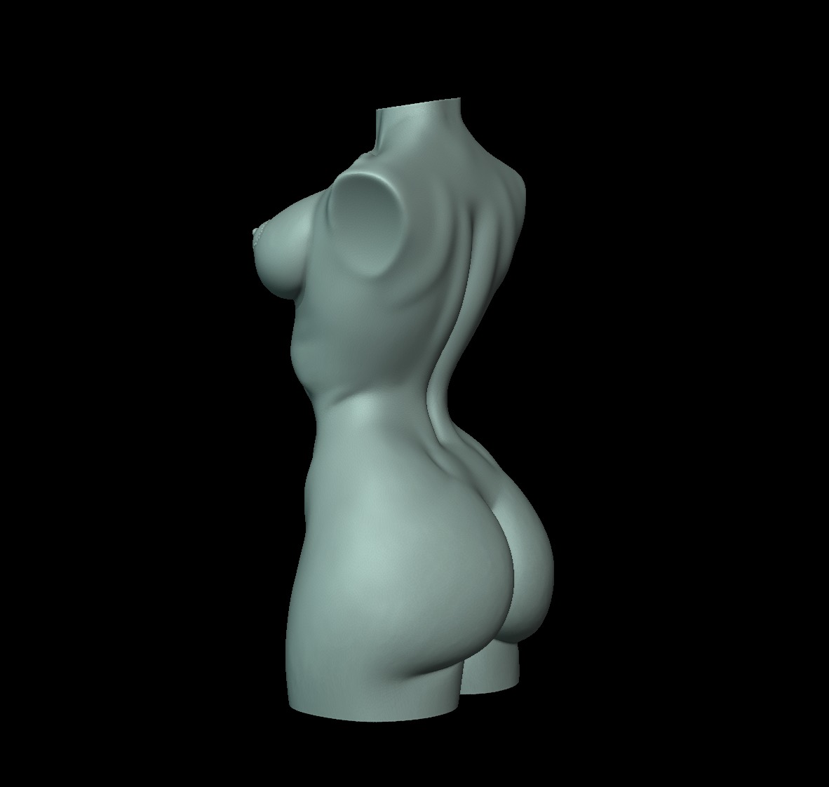 Woman Body Torso 3D print model_6