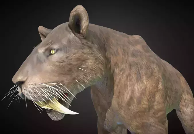 Smilodon Saber-tooth cat Low-poly 3D model