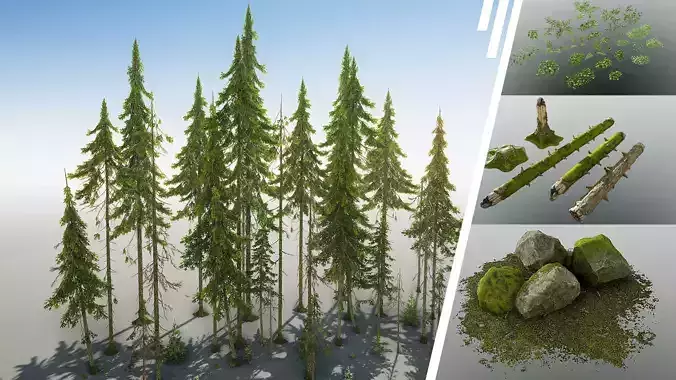 Northern Spruce Forest Low-poly 3D model